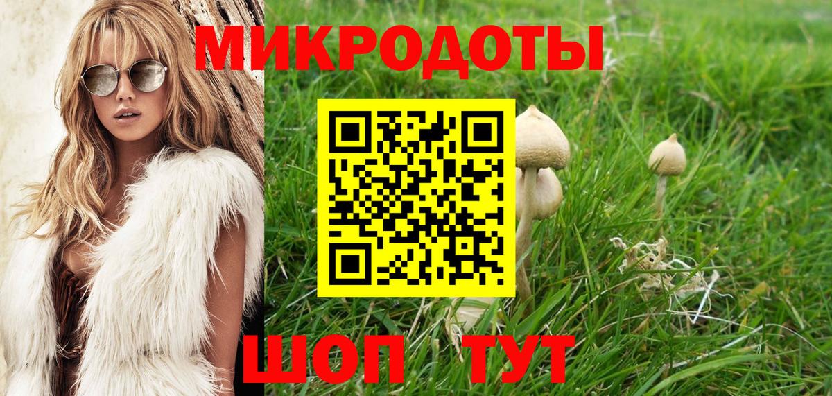 Псилоцибиновые грибы мухоморы  Псилоцибиновые грибы Magic Shrooms  Аша  купить наркоту  Вход с VPN 